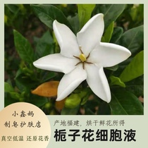 Gardenia Flower Cellulaire réduction de liquide Gardenia fleurs fragrance 500ml45 Yuan