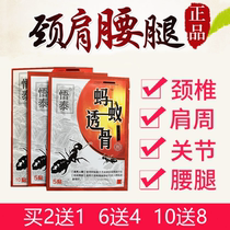 Epiphany Ant through bone post Tianjin black Ant through paste with fever neck and shoulder waist and leg pain patch paste 10 sticker