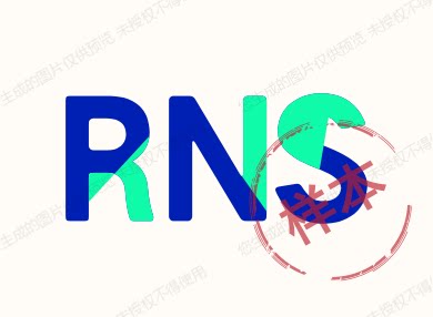 RNS数码正品