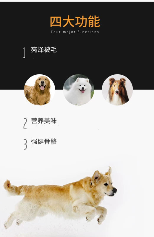 Thức ăn cho chó Samoyed hơn gấu bạc cáo Golden Retriever chó con chó con trong bộ lông trắng lớn đặc biệt 40 kg 20kg đến rách - Chó Staples