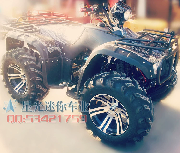 Longding đầy đủ tính năng núi atv xe bốn bánh xe địa hình xe máy ATV 250cc