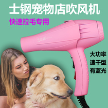 Pet Shop Special Hair Dryer Kitty Dog Hairy Machine High Power Silent Hanging Neck Brace Bath Blow Water for home