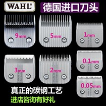 Huar Pet Electric Push Cut Pet Special Push Knife Andean Accessories Big Electric Cut Music Cut biter 7f push head 4f