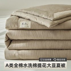 Soybean Air Conditioning Quilt, Thin Summer Cooling Quilt, Pure Cotton, All-Cotton, Student Dormitory Single-Person Spring and Autumn Quilt Core, Machine Washable in Summer
