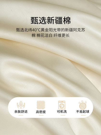100 Long-Staple Cotton High-Thread-Count Four-Piece Bed Sheet Set, High-End 2026 New Model, Pure Cotton Duvet Cover Bedding Set