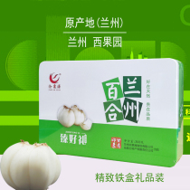 Gansu specialty Lanzhou West Orchard Lily dried non-fresh lily Cangsuyuan 300g tin box souvenir gift