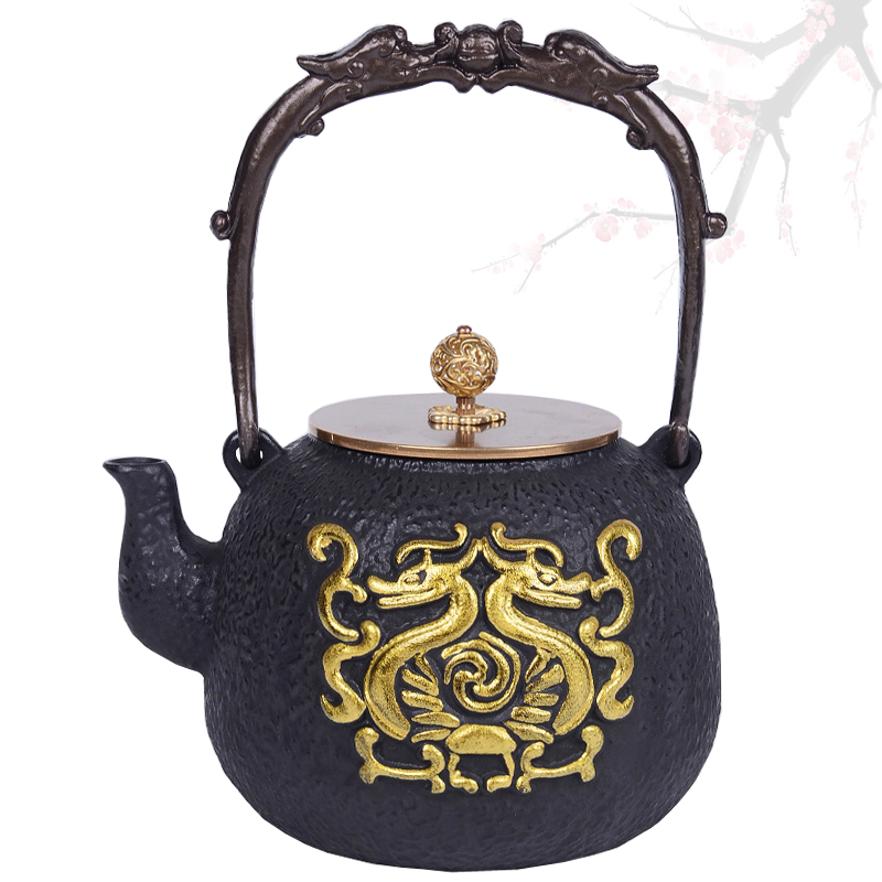 Twin Dragon Iron Pot Japan Southern Old Iron Jug Cast Iron Burning Kettle Cook Tea Ware Pure Hand Imported Raw Iron Day Style Tea Set