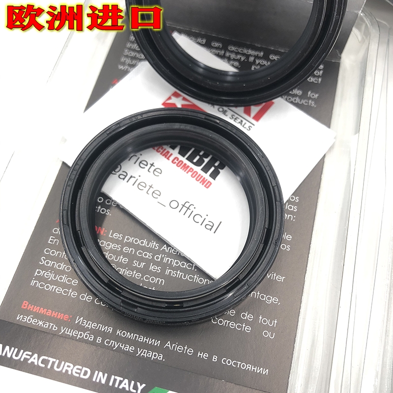 European imports ARI for BMWC400X GT C600 C650GT SPORT front fork damping oil seal