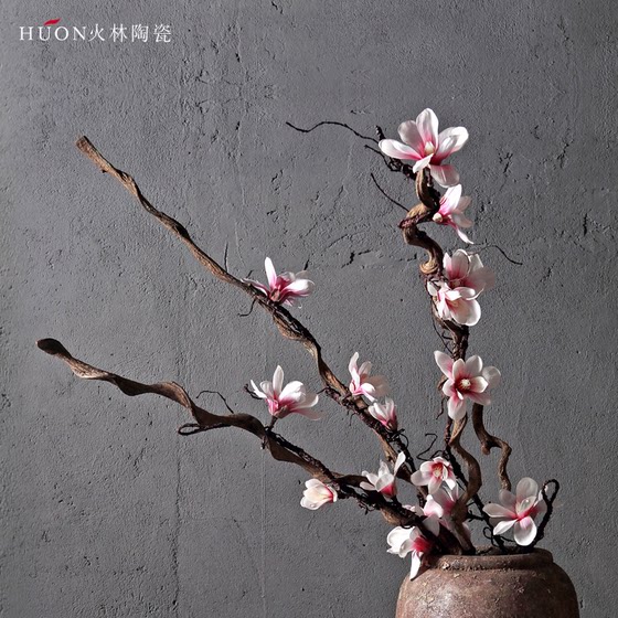 Crossing the River Dragon Rattan Dry Branches Living Room Zen Dry Flower Arrangement Curved Dry Branches Decoration Natural Solid Wood Dried Flowers and Dead Branches