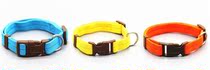 2021 new small canine dog collar dog collar Neck Ring Medium Dog Anti-Neck Ring Chai Dog Teddy Pet Supplies
