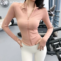 Обновление порошка розы