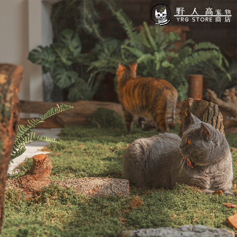 Wild man high pet store 1 Yuan hyperlinks please shoot me (shipping price difference custom fee and so on)