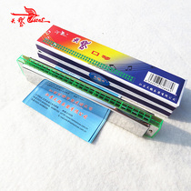 Swan 24-hole polyphonic c-tone harmonica plastic box carton Beginner adult introductory harmonica harmonica musical instrument