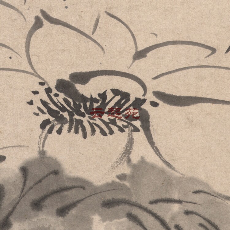 The Ming Xiang Yuan Bianinku Liz Z high-definition electronic photo 720M decorative promotional material