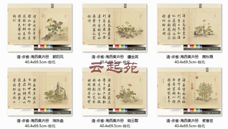 Qingyu Province Haixi Set of Flowers Chaoyang Feng C6 Frame High Definition Electronic Pictures 187M Decorative Propaganda Material