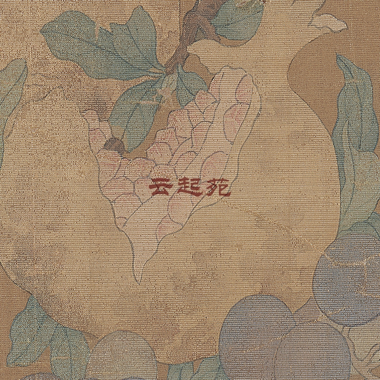 Song Zhao Chang sketch fruit picture X hd electronic picture 45M decorative promotional materials