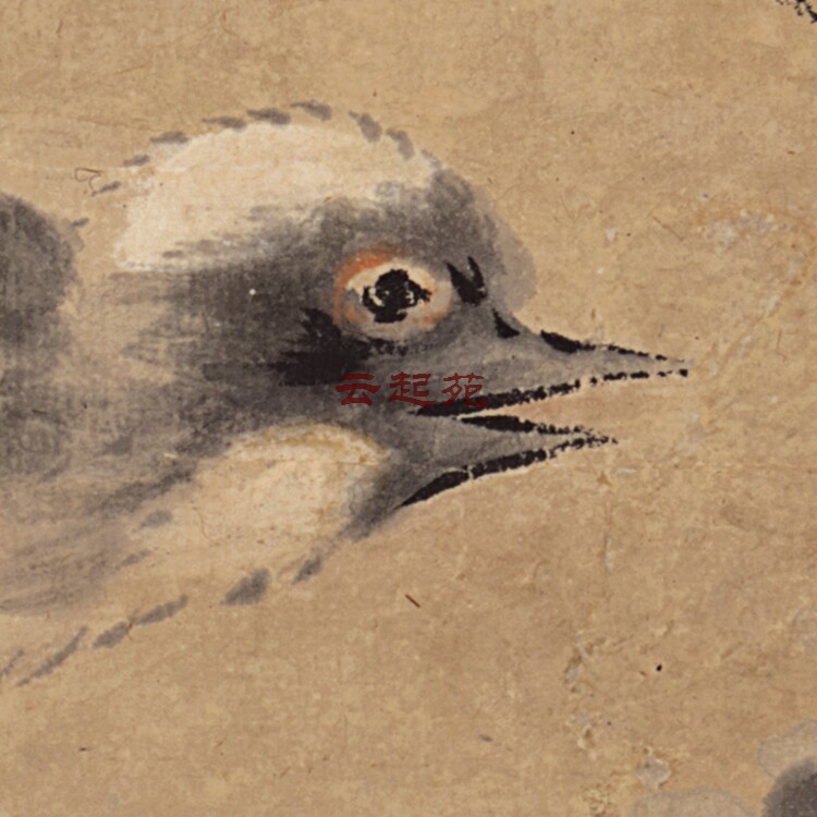 Qing Dynasty Jiang Tingxi White Dove Figure Z high-definition electronic picture 202M decoration promotional materials