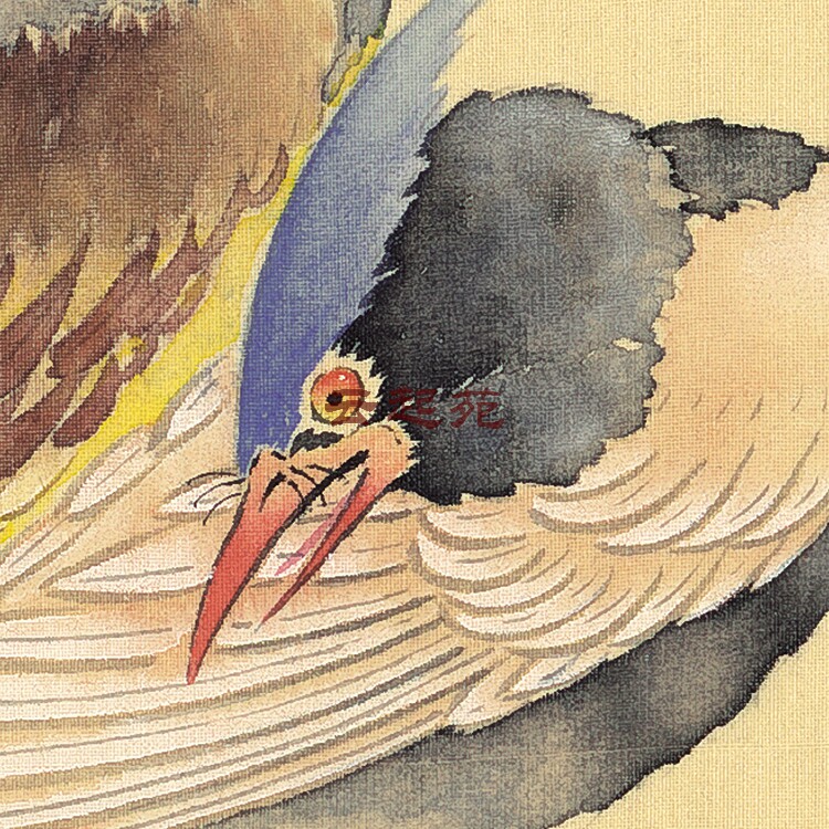 Qingqu Zhaolin Flower Bird Tuz Z high-definition electronic photo 401M decorative promotional material