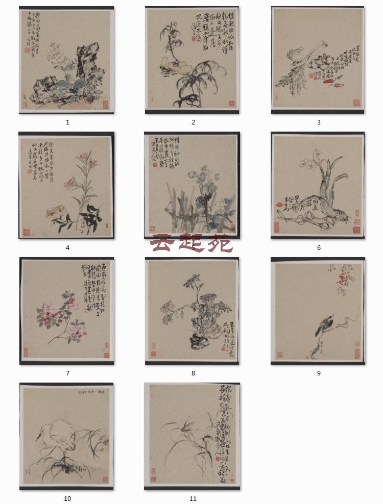 Clear Lee Eel Flower Plot CF ten Open High-definition Electronic Photo 635M Decorative Promotional Material