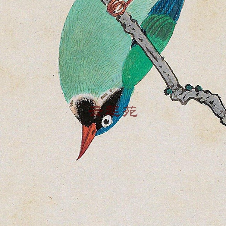 Clear on non-dark apricot flower kingfishtTuz high-definition electronic picture 72M decorative promotional material