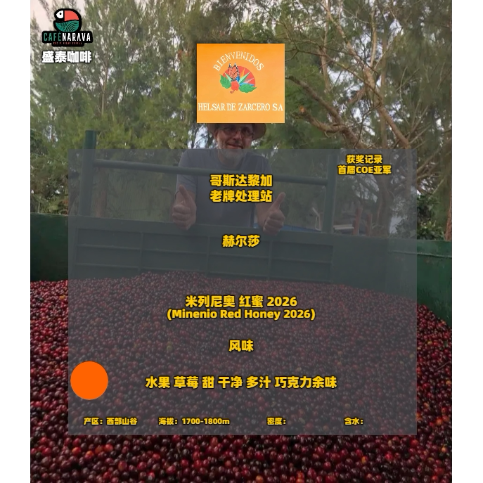 2026 Hulsah Milenio Red Honey
