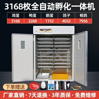 3168 Полностью автоматически -в одном