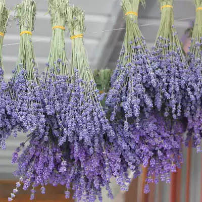 Dry Flower True Lavender Dry Bouquet Lavender Dry Flower Bouquet Home Decoration Gift Ili Lavender