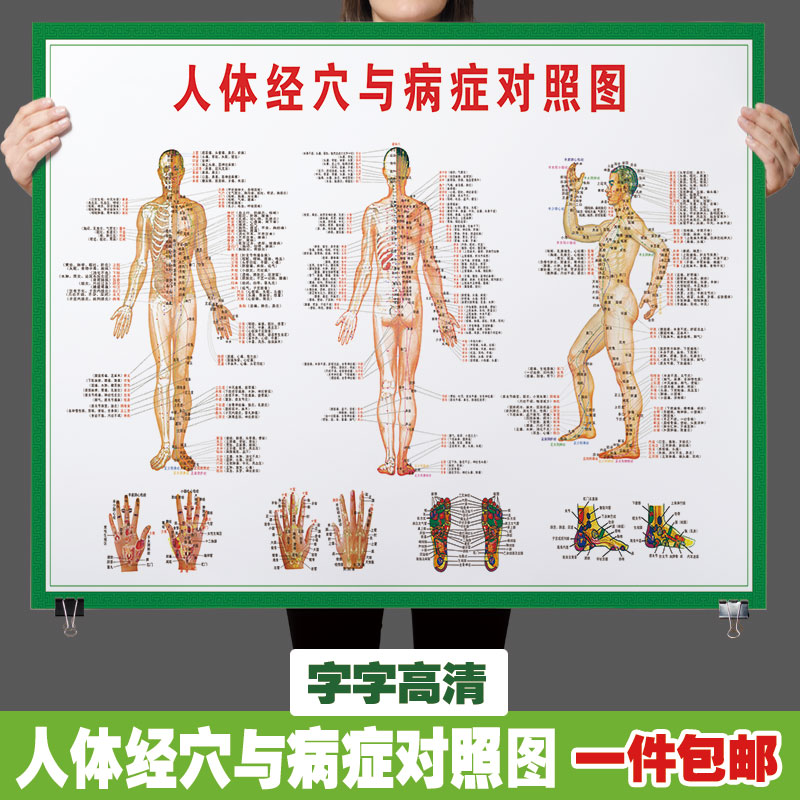 Traditional Chinese Medicine Nourishing Body Meridians Acupoints Figure Large Wall Body High Definition Acupoint Moxibustion Pushback Acupuncture 2132