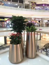 Upscale light extravaganza Modern Nordic Living room golden floor Green plant Creative flowers Multi-meat flower pot Flower Flower Bucket Floral