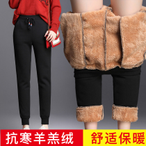Tethick lamb suede sports pants woman 2021 Winter gush thickened warm sweatpants big code loose casual pants