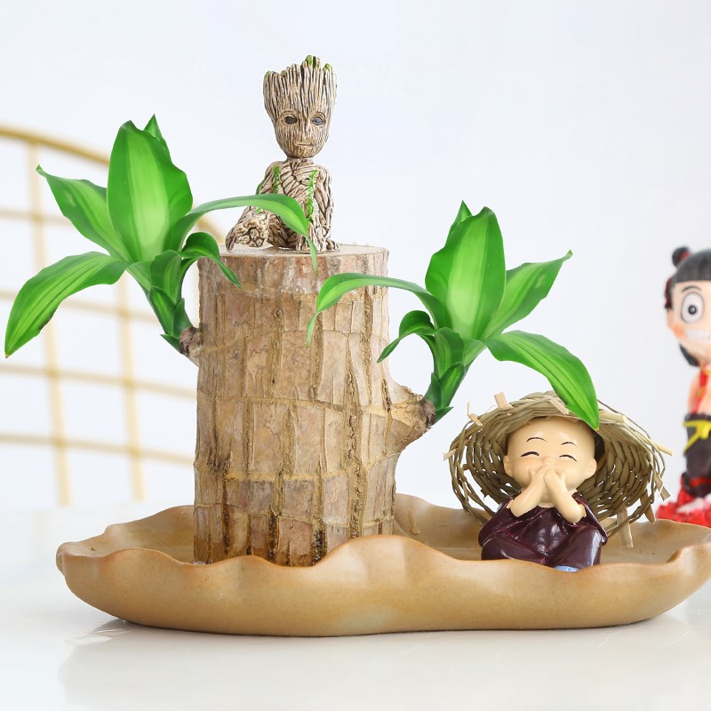 Brazilian wood potted wood flowering couple models hydroponic plant hydroponic mini indoor lucky little tree man with bud stump