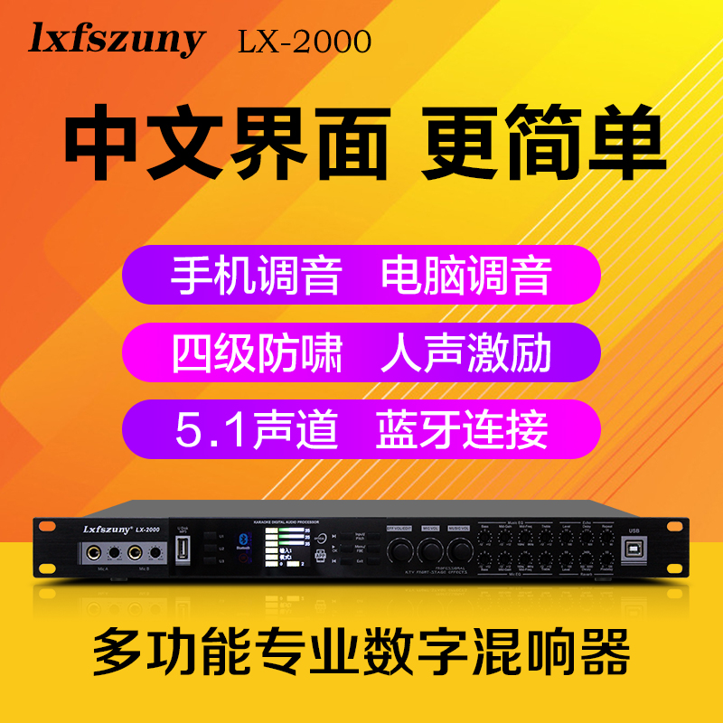 NES Wind 2000 professional KTV pre-stage effect digital anti-howling microphone Audio mixer processor DSP