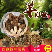 Tibet wild growth bacteria dried herds of sheep belly dried goods Tibet origin sheep tripe bacteria a 50 gr