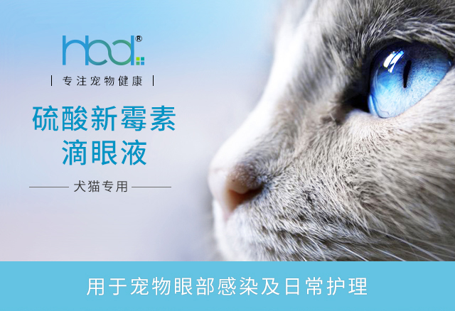 Thú cưng mắt nhỏ giọt nước mắt mèo xé hơn gấu Teddy rửa mắt sạch chó - Thuốc nhỏ mắt thuốc nhỏ mắt collydexa