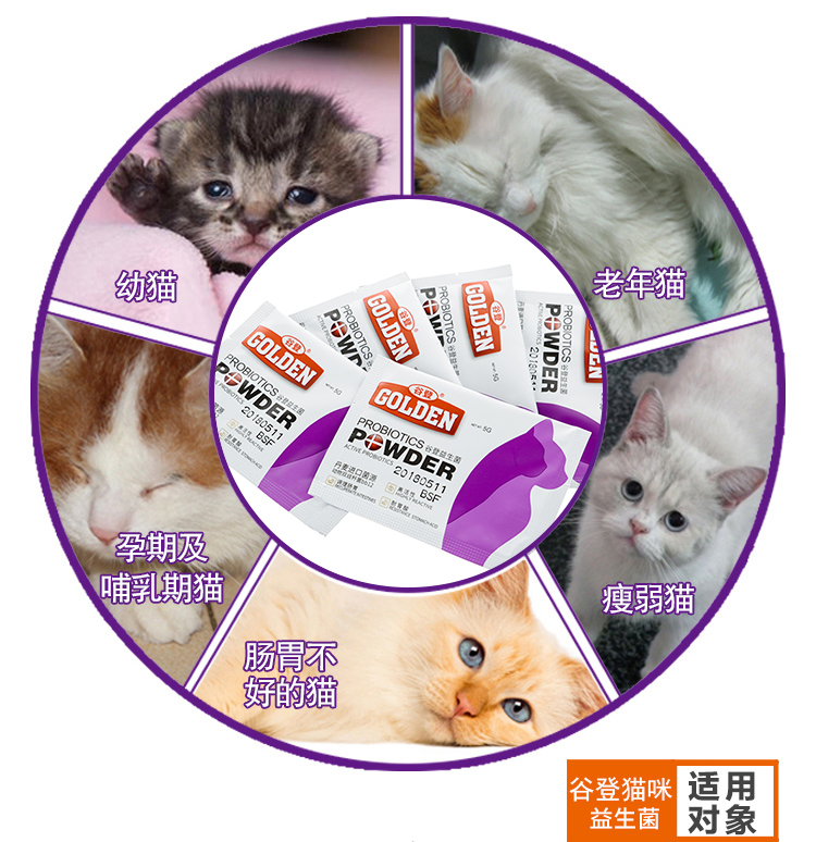 Gudeng men vi sinh vật nuôi mèo đặc biệt điều hòa dạ dày kho báu bé mèo tiêu chảy táo bón nôn mèo con giúp tiêu hóa - Cat / Dog Health bổ sung sữa cho mèo bầu