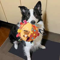 Колокольные шарики посвящены, чтобы беспокоить людей в помещении