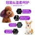 Guanneng chó trưởng thành cỡ nhỏ và cỡ trung bình Chăn gia súc cạnh Corgi Dou Bomei điều hòa thức ăn tiêu hóa cho chó tiêu hóa gói 5 kg - Chó Staples