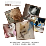 Собачья игрушка кости моляры и шлифовальные палочки, чтобы кусать большие собаки щенки хрус