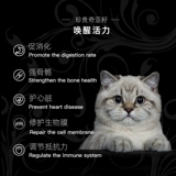 Catz Exquisite Stalled Casino Pet Pet Pet Pet Kaizi Немецкий импортный кот Увеличенные жирные пищи кайзи кот