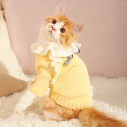Cat Clothes Autumn Outfit Ragdoll Cat Devon Autumn Clothing Pet Cat Kitten Clothes Autumn and Winter Warm Sweater