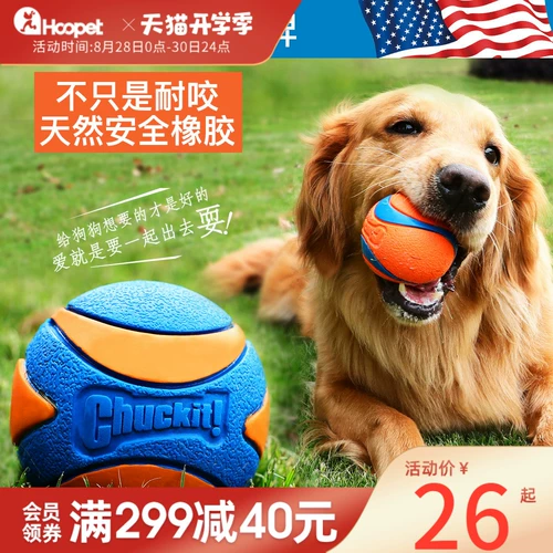 petmate Собачья игрушечные шарики звук -устойчивый к большим собачьим молярным молярным эластичным лабрадором щенком золотистого ретривера