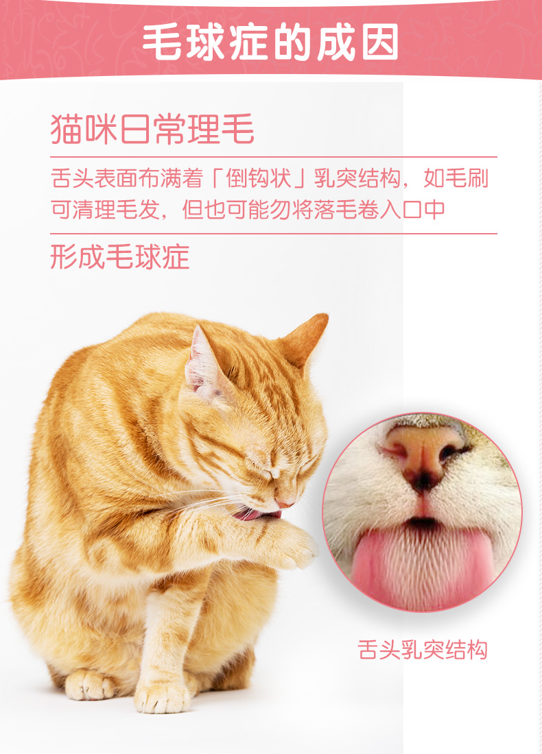 Mèo Mead chuyên kem, mèo, mèo xanh, nhổ bóng, mèo nhỏ, ăn chất béo, điều hòa, kem dinh dưỡng dạ dày - Cat / Dog Health bổ sung Sữa dành cho mèo con mới đẻ