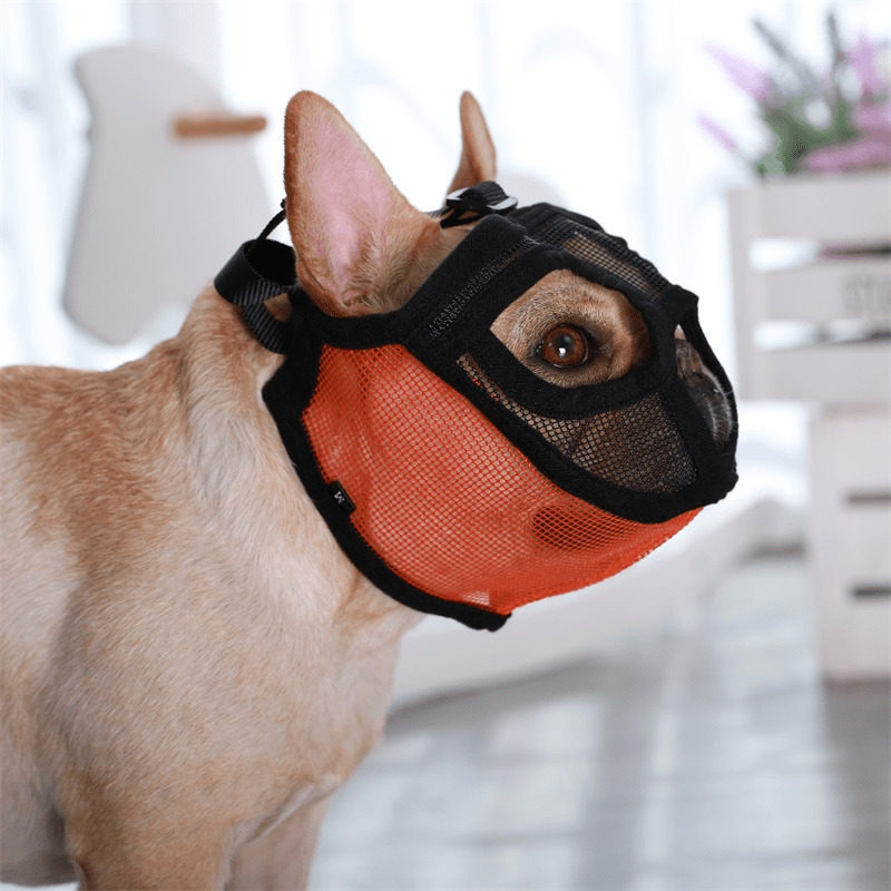Dog mouth guard pet anti-biting and screaming eating mask method fighting bark muzzle mask bago anti-picking food