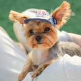 Дисней, милая бейсболка, комфортная демисезонная дышащая шапка