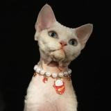 Чокер, милый декор, шарф, летнее ожерелье