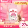 Thức ăn cho mèo Royal K36 2kg Anh ngắn Siamese Garfield thức ăn cho mèo cho con bú làm đẹp cho mèo ngắn - Cat Staples Các loại pate cho mèo