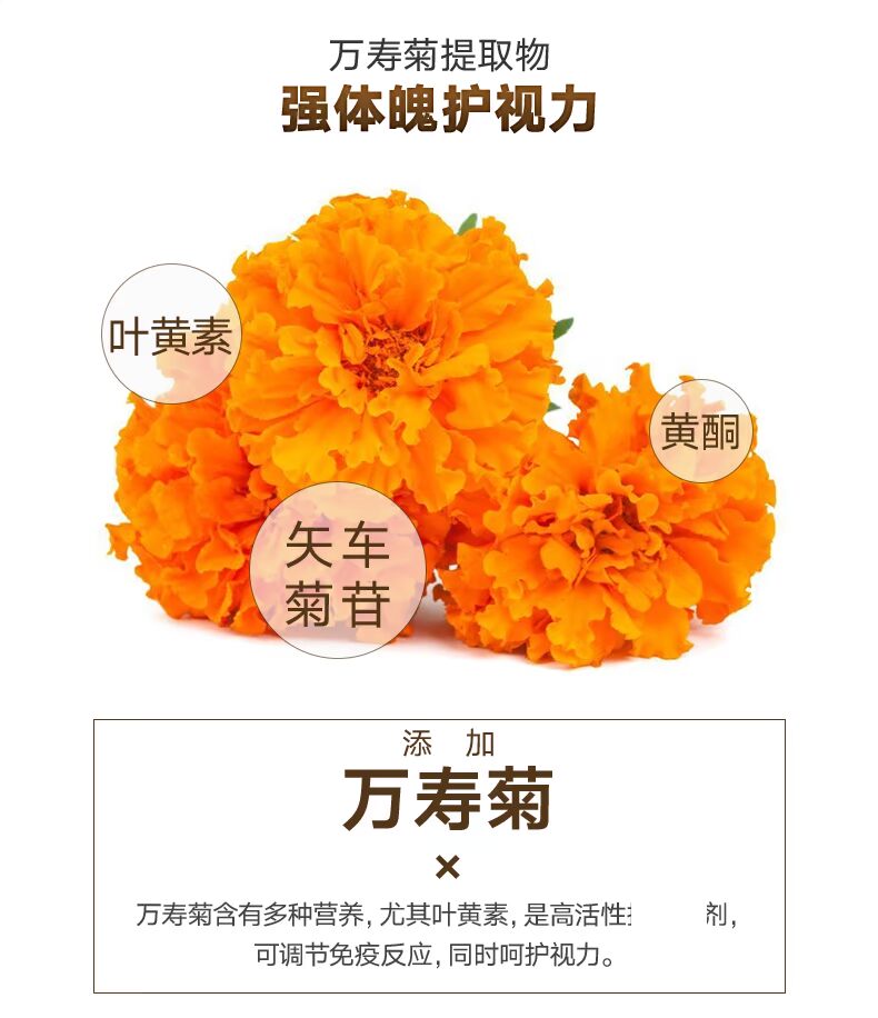 Xinyuan Phát triển Bao BD24 thức ăn cho chó trưởng thành 10kg Chó Golden Retriever Labrador thức ăn chủ yếu cho chó lớn và nhỏ - Chó Staples hạt nutrience