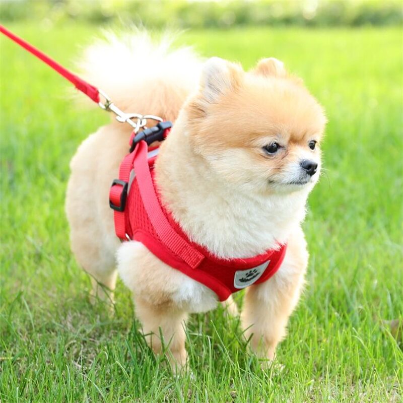 Dog Traction Rope Chest of Breast Pocket Vest Style Walking Dog Rope Small Medium Canine Teddy Kitty dog chain Pet Pet Supplies