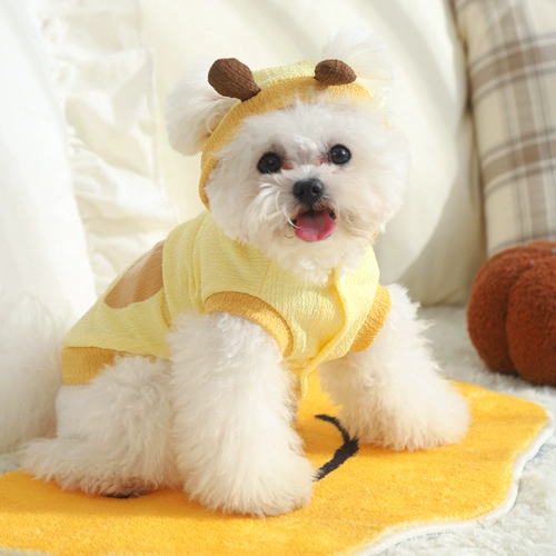 Собачья одежда в летнем щенок для щенка для домашних животных в летнем жилете Среднего Собака Шичай Тедди Снежный жилет