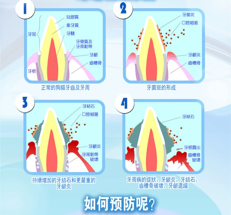 Đồ ăn nhẹ cho mèo Harlexi làm đẹp tóc cá hồi răng khỏe mạnh + catnip làm sạch răng hàm răng